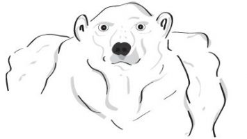 Olav the Polar Bear